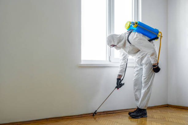 Best Real Estate Pest Inspections  in Ludowici, GA